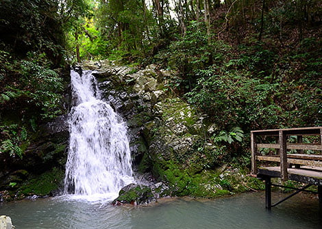 摂津峡公園